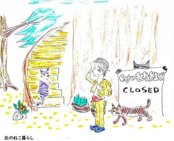 Juneイラスト　ねこ森町