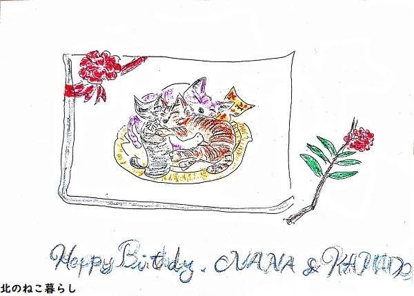 Juneイラスト　ねこ森町