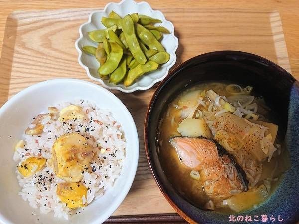 北のねこ暮らし