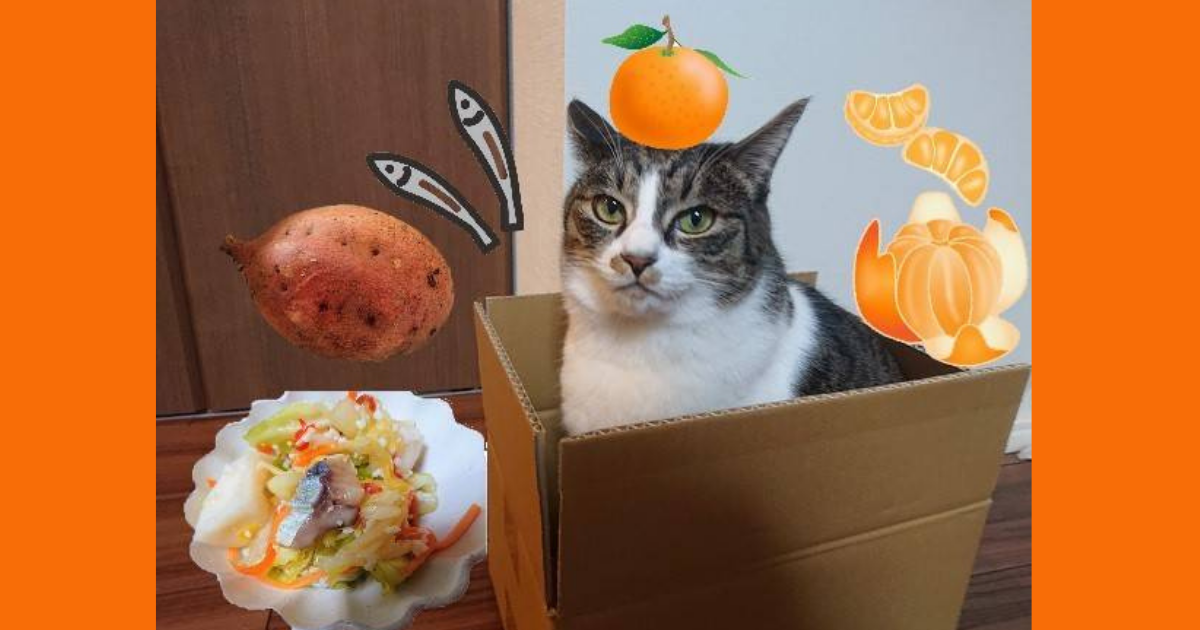 f:id:nanakama:20211013145257p:plain