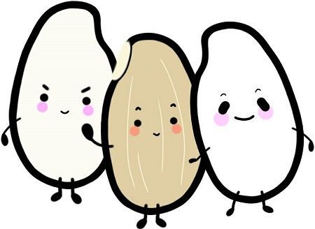 明日を生きるごはん