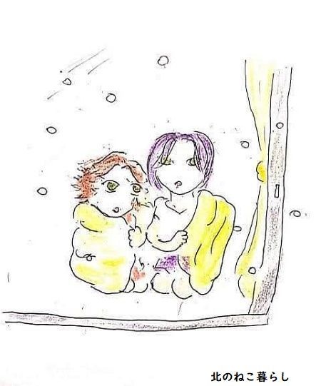 Juneイラスト ねこ森町