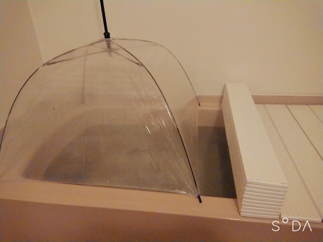 f:id:nanakozi:20211231204126j:image