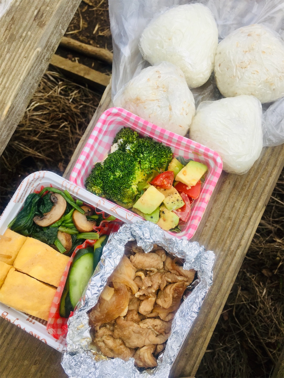 f:id:nanakunran:20190421200322j:image f:id:nanakunran:20190421200322j:image
