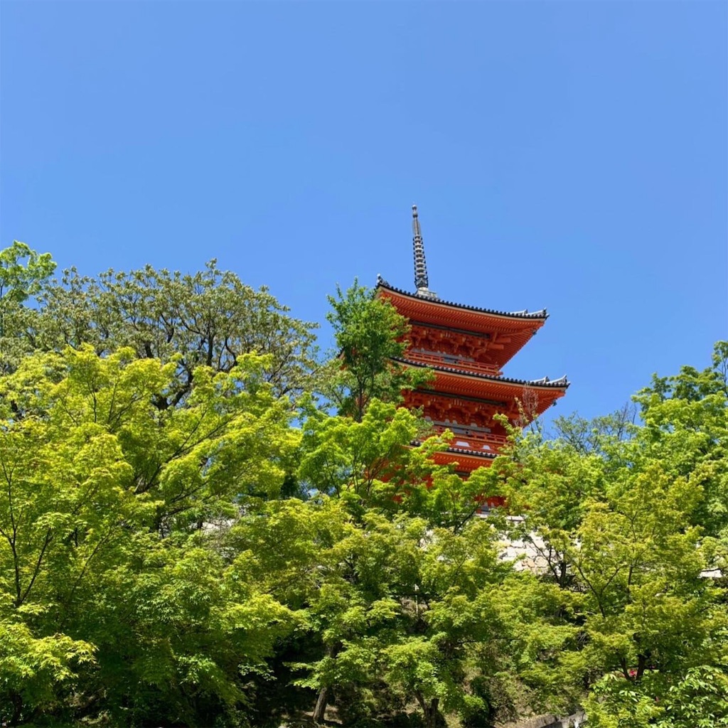 f:id:nanaluna7:20190515163616j:image f:id:nanaluna7:20190515163616j:image