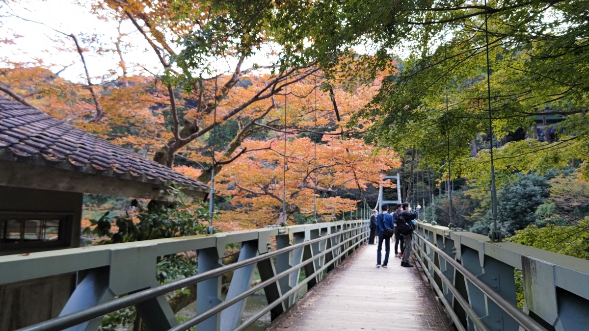 f:id:nanami-JP:20211114212619j:plain