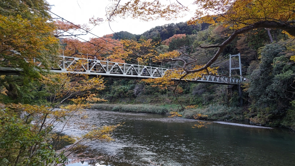 f:id:nanami-JP:20211114212718j:plain