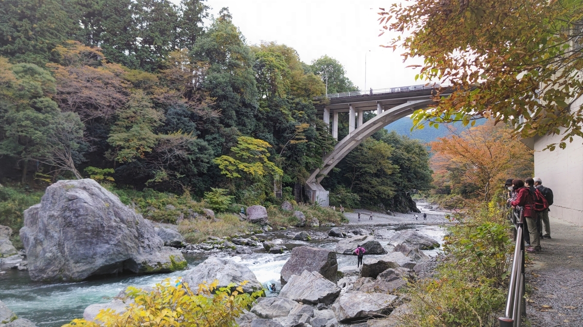 f:id:nanami-JP:20211114213150j:plain