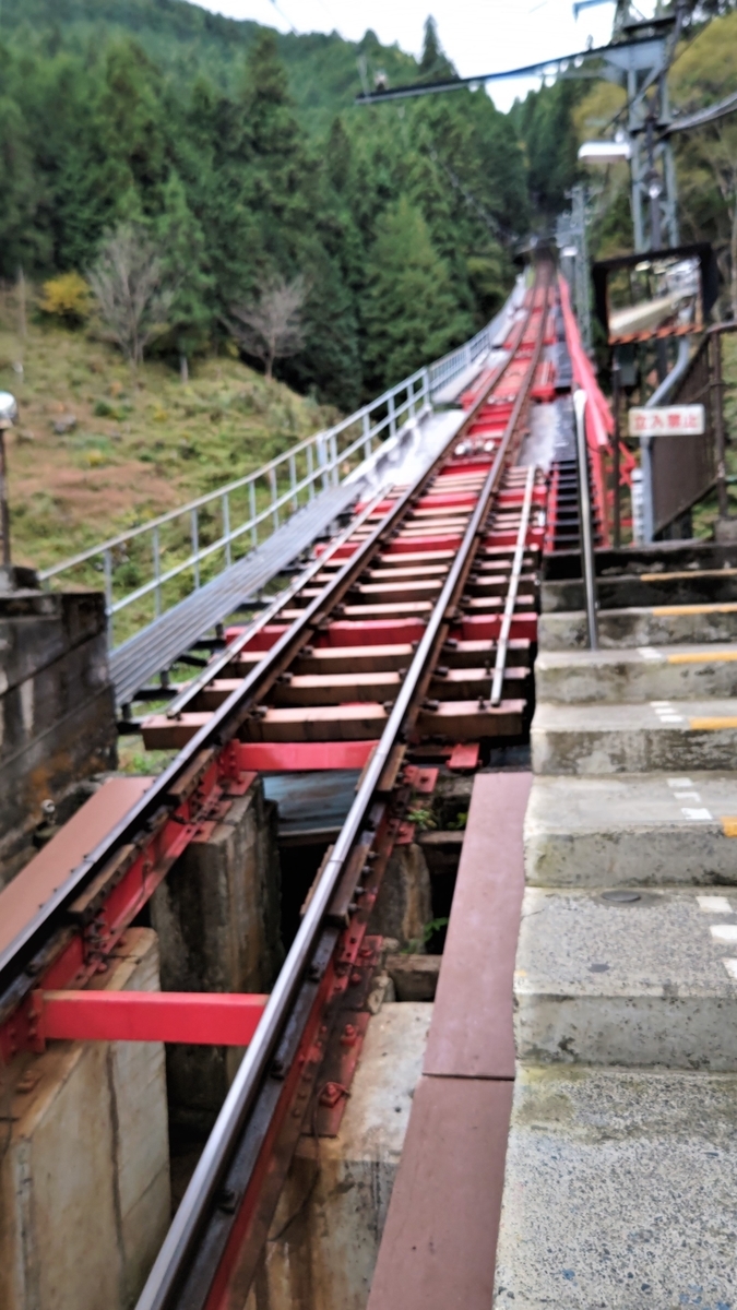 f:id:nanami-JP:20211114213212j:plain