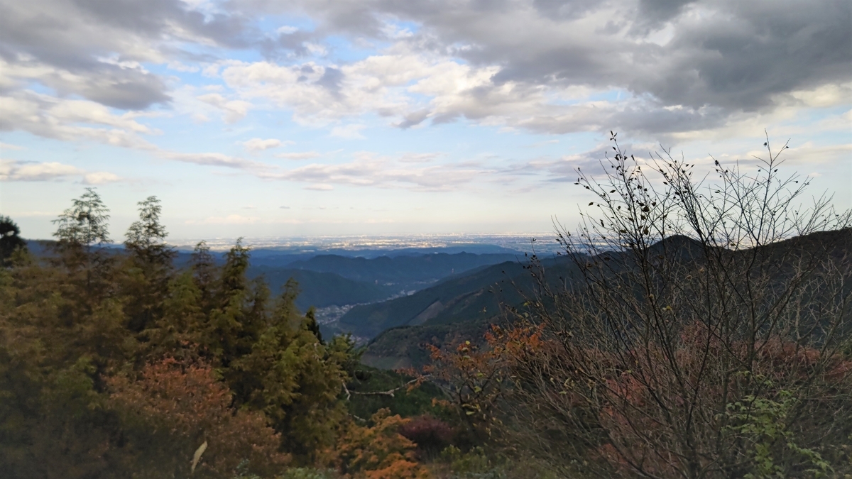 f:id:nanami-JP:20211114213237j:plain