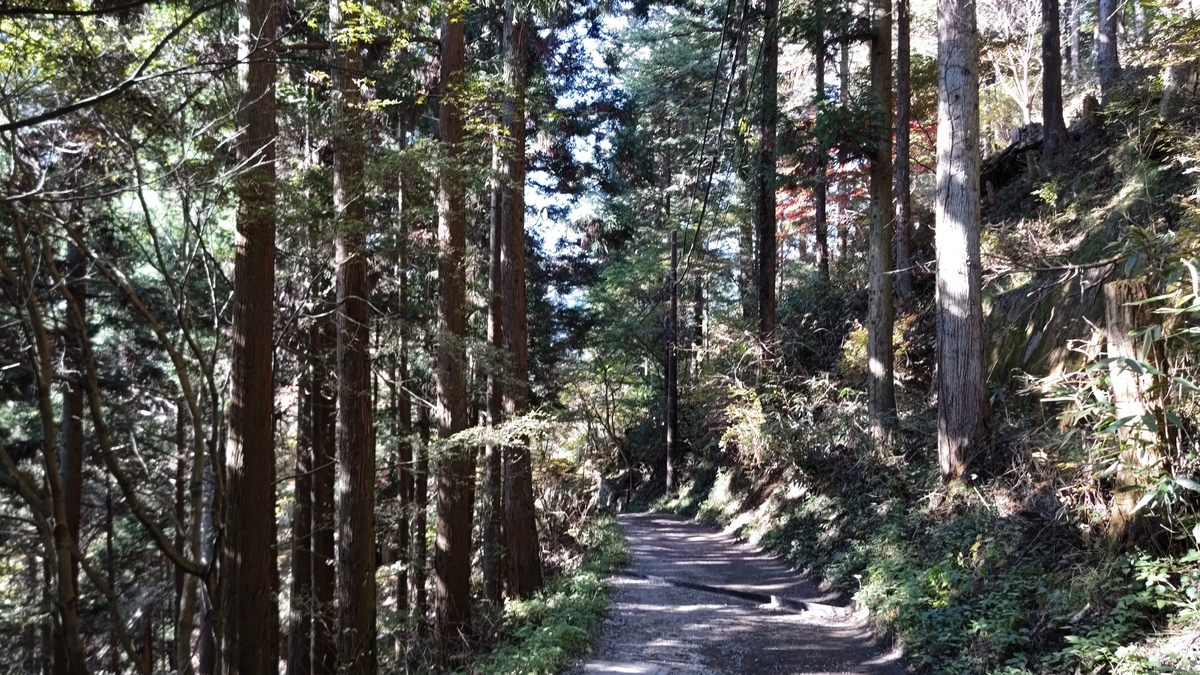 f:id:nanami-JP:20211114230440j:plain