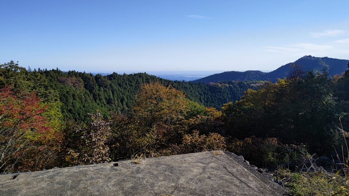 f:id:nanami-JP:20211114230509j:plain