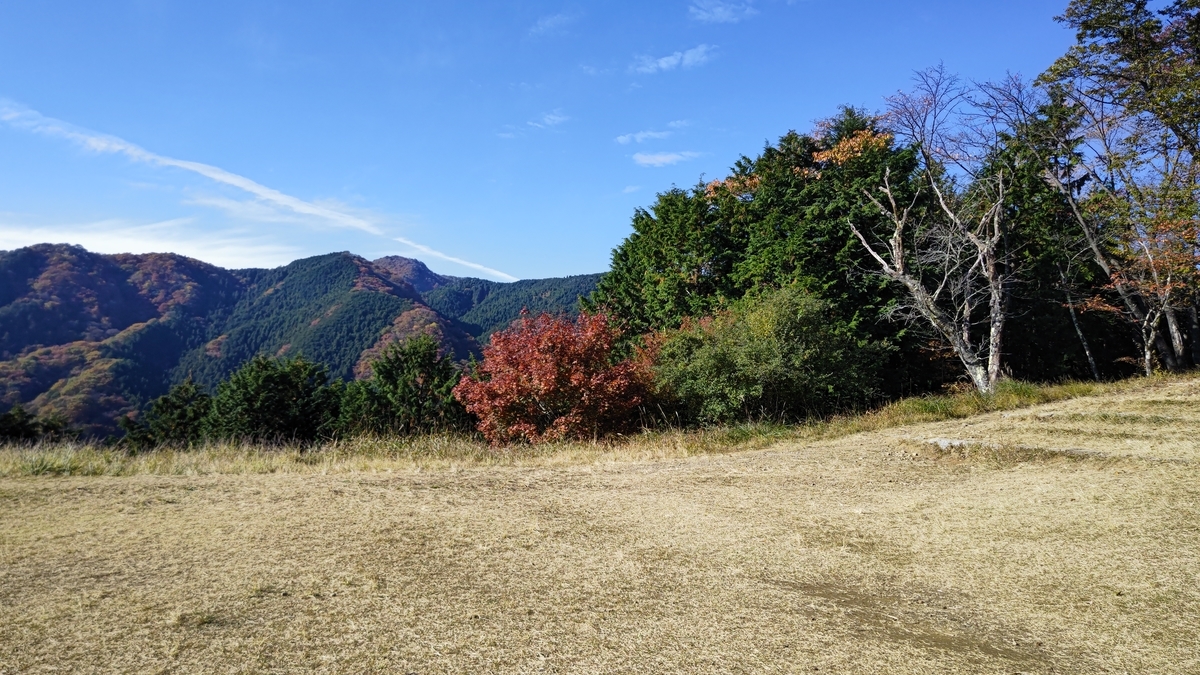 f:id:nanami-JP:20211114230539j:plain