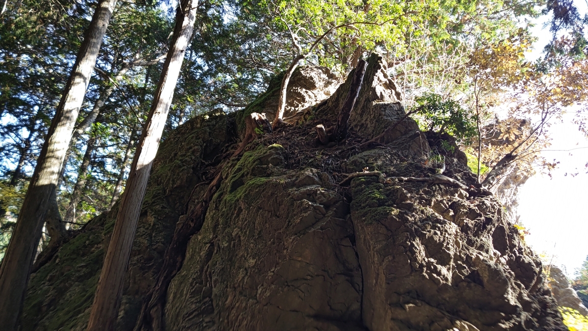 f:id:nanami-JP:20211114230739j:plain