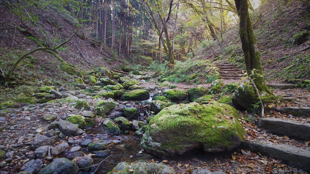 f:id:nanami-JP:20211114230914j:plain