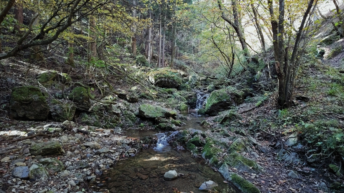 f:id:nanami-JP:20211114230945j:plain