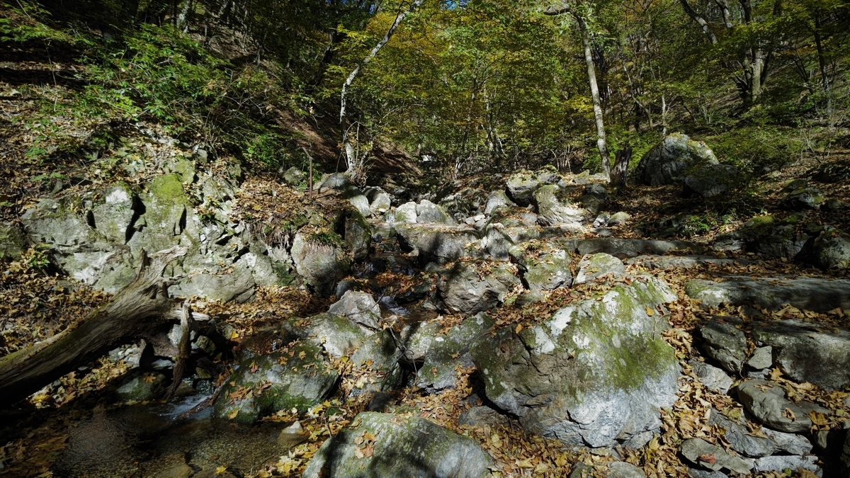 f:id:nanami-JP:20211114231020j:plain