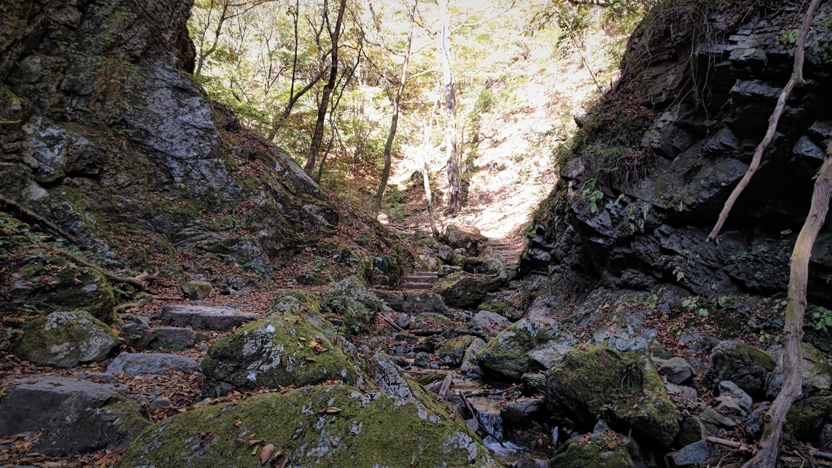 f:id:nanami-JP:20211114231113j:plain