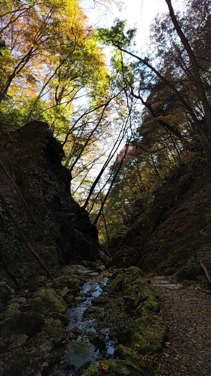 f:id:nanami-JP:20211114231140j:plain