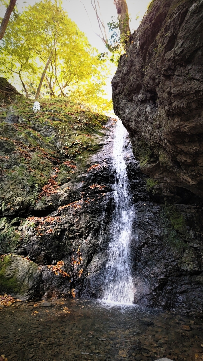 f:id:nanami-JP:20211114231228j:plain