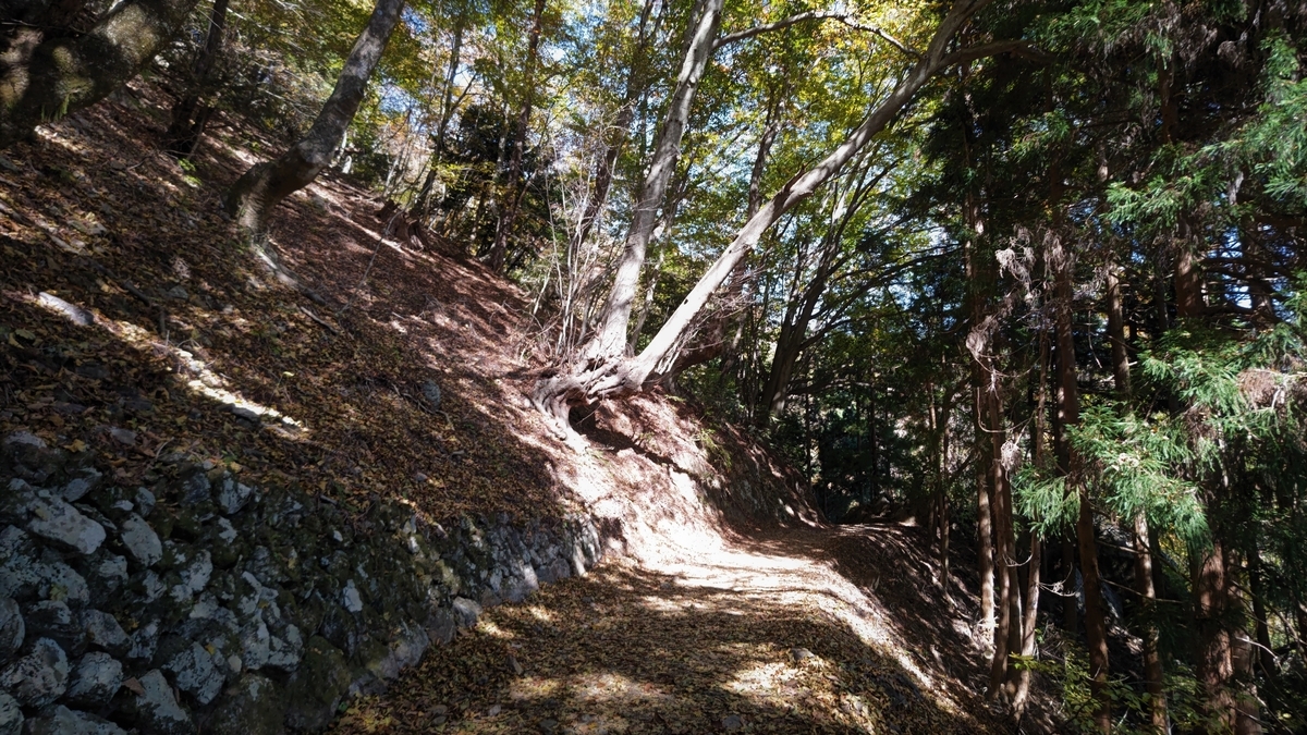 f:id:nanami-JP:20211114231255j:plain