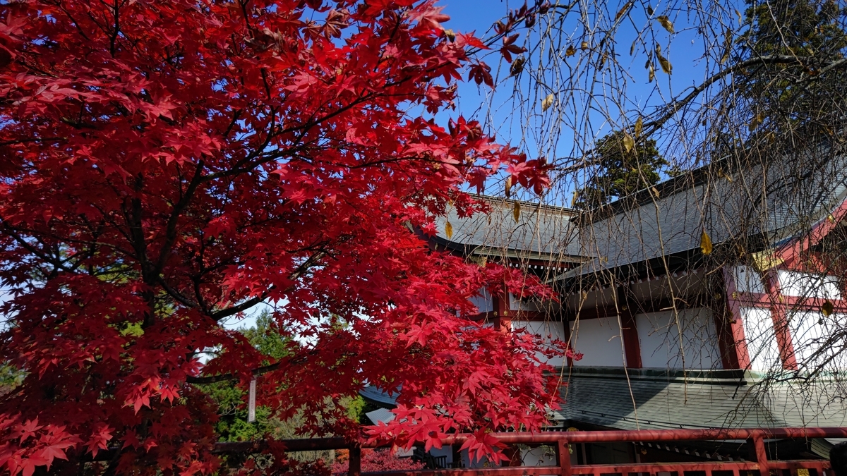 f:id:nanami-JP:20211114231616j:plain