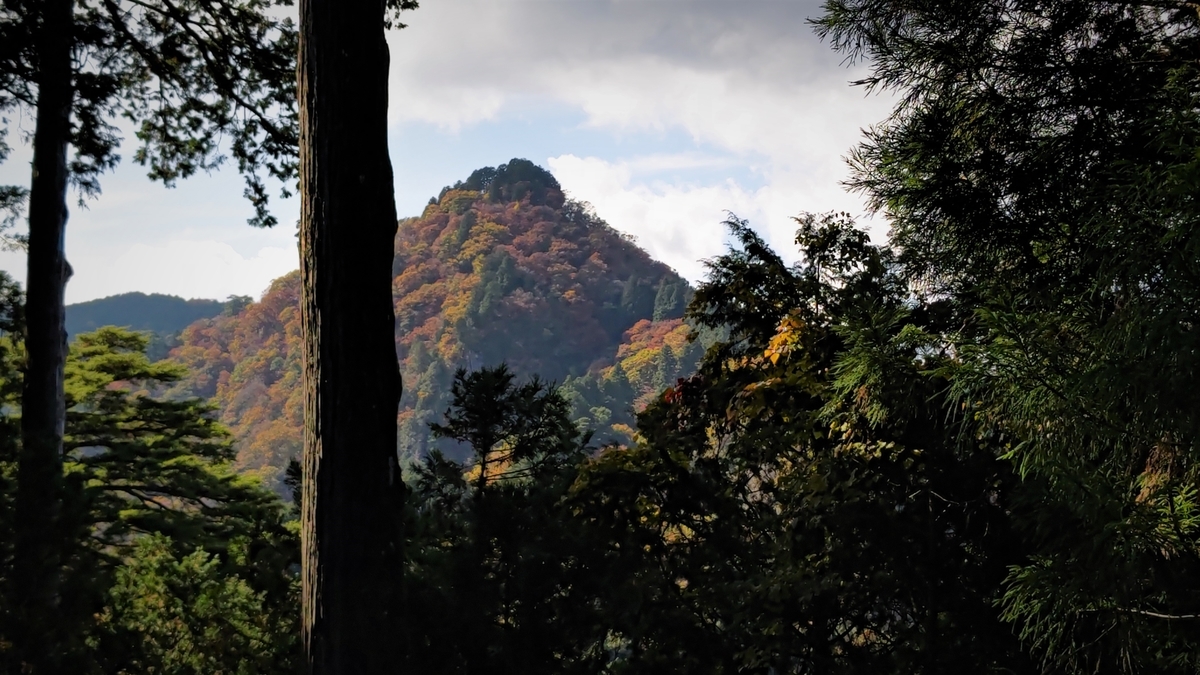 f:id:nanami-JP:20211114231747j:plain