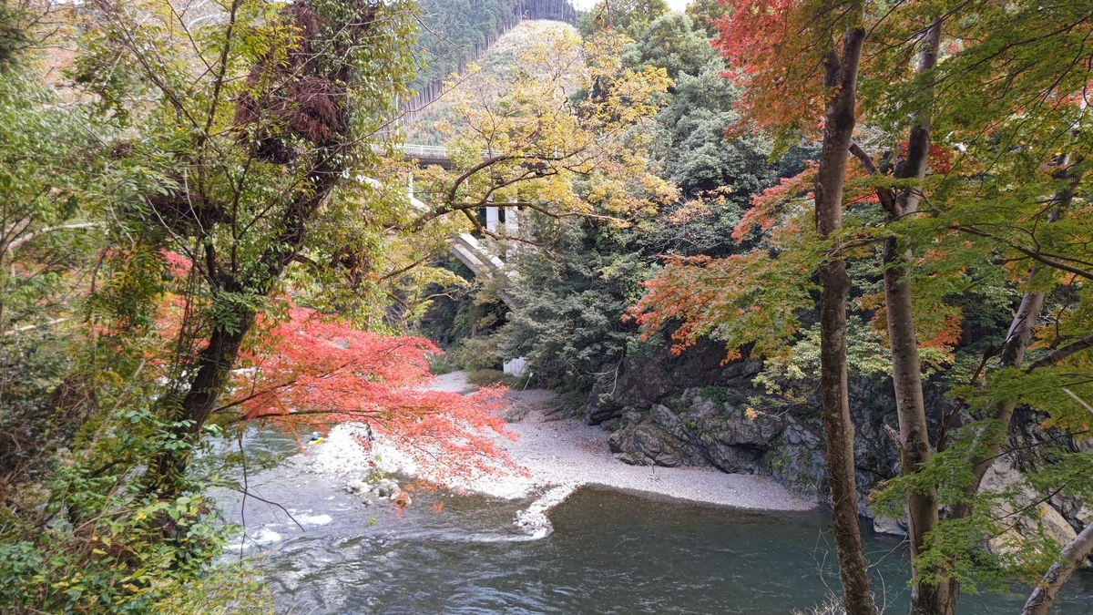 f:id:nanami-JP:20211114231948j:plain