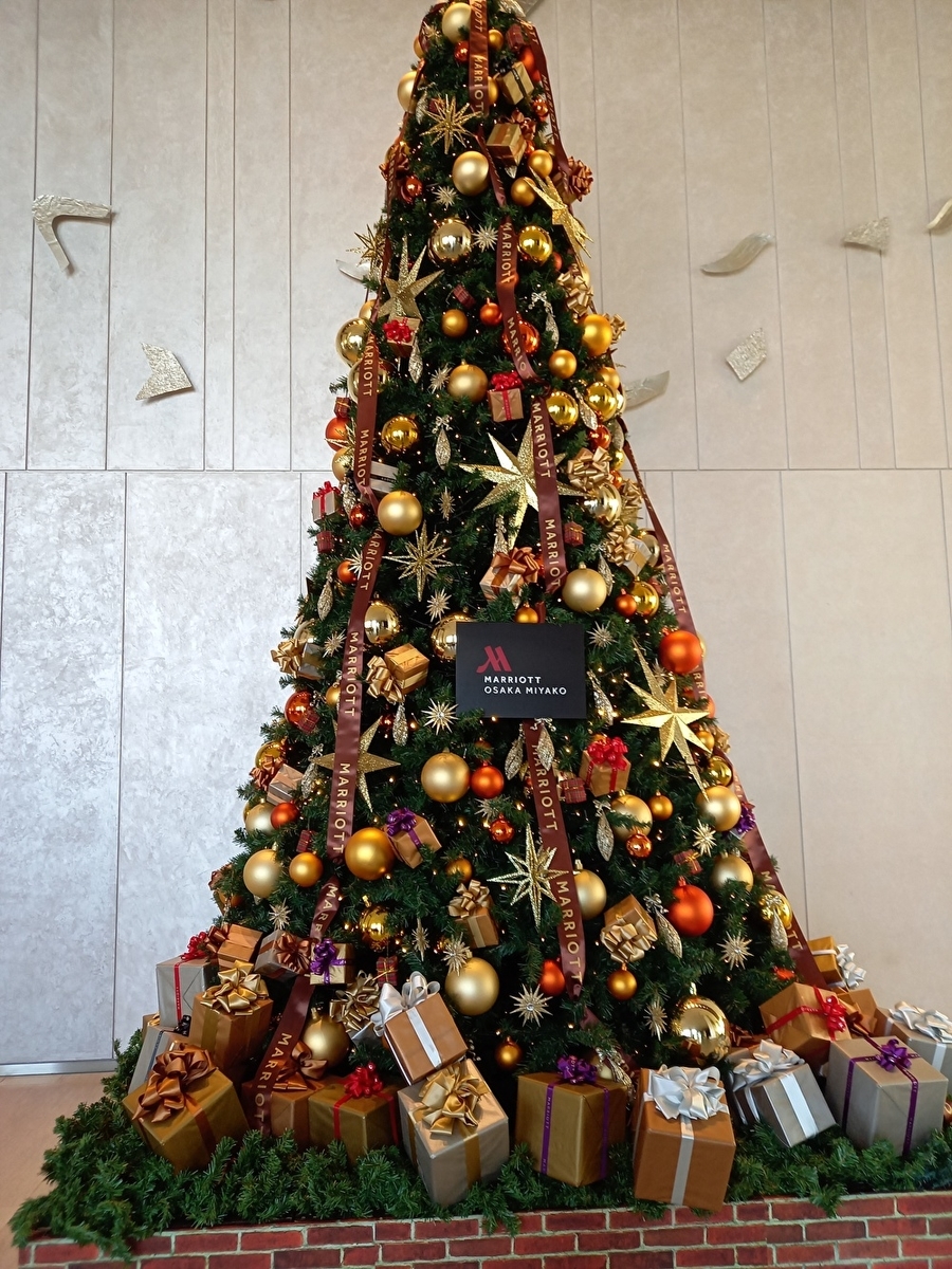 f:id:nanami3964:20211114095040j:plain