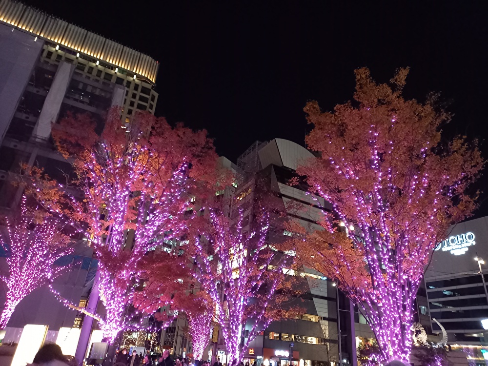 f:id:nanami3964:20211210154703j:plain