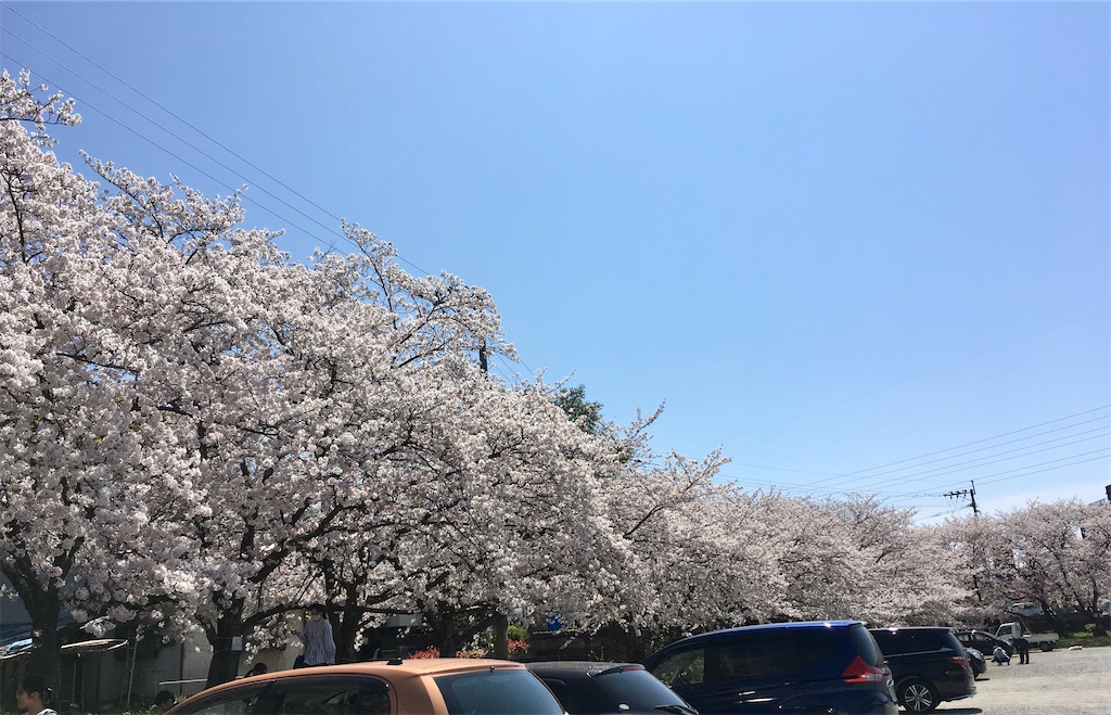 f:id:nanami_357:20200405154243j:image f:id:nanami_357:20200405154243j:image