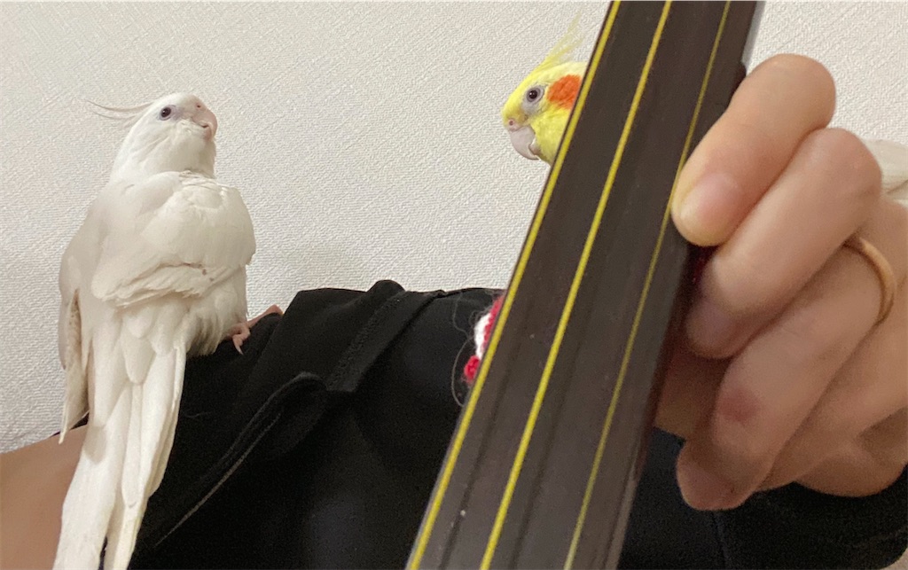 f:id:nanamizaki:20210320151054j:image f:id:nanamizaki:20210320151054j:image