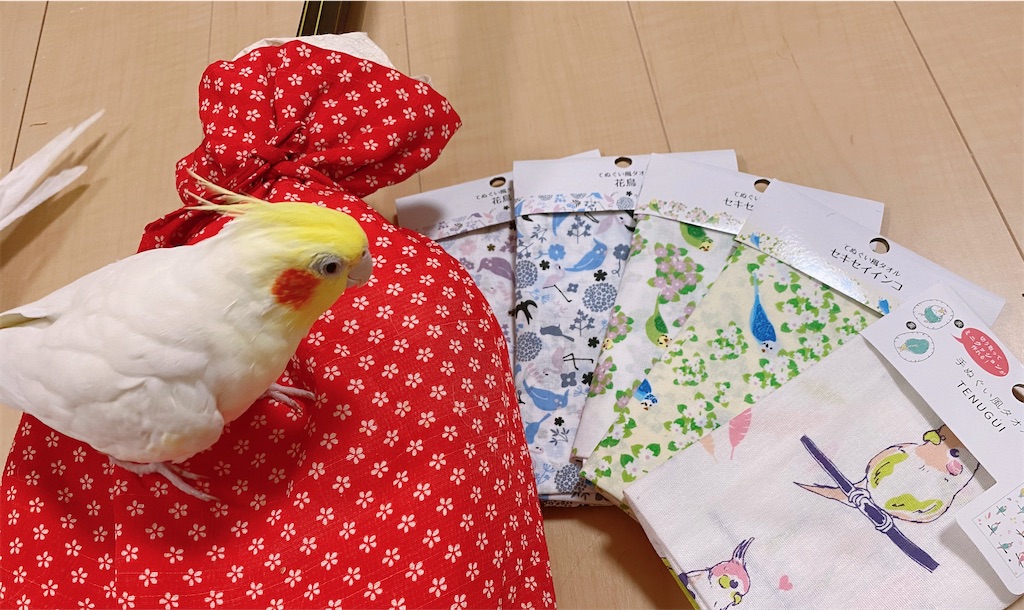 f:id:nanamizaki:20210320162822j:image f:id:nanamizaki:20210320162822j:image