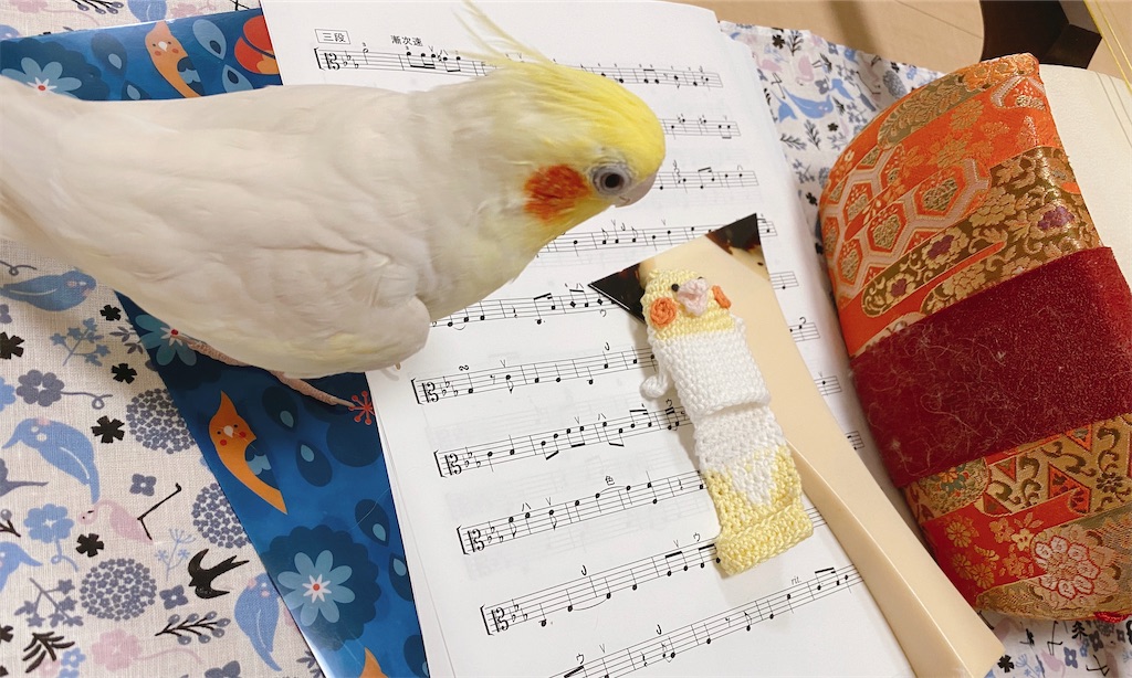 f:id:nanamizaki:20210323024435j:image f:id:nanamizaki:20210323024435j:image