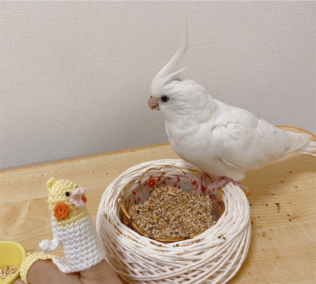 f:id:nanamizaki:20210323171337j:image f:id:nanamizaki:20210323171337j:image