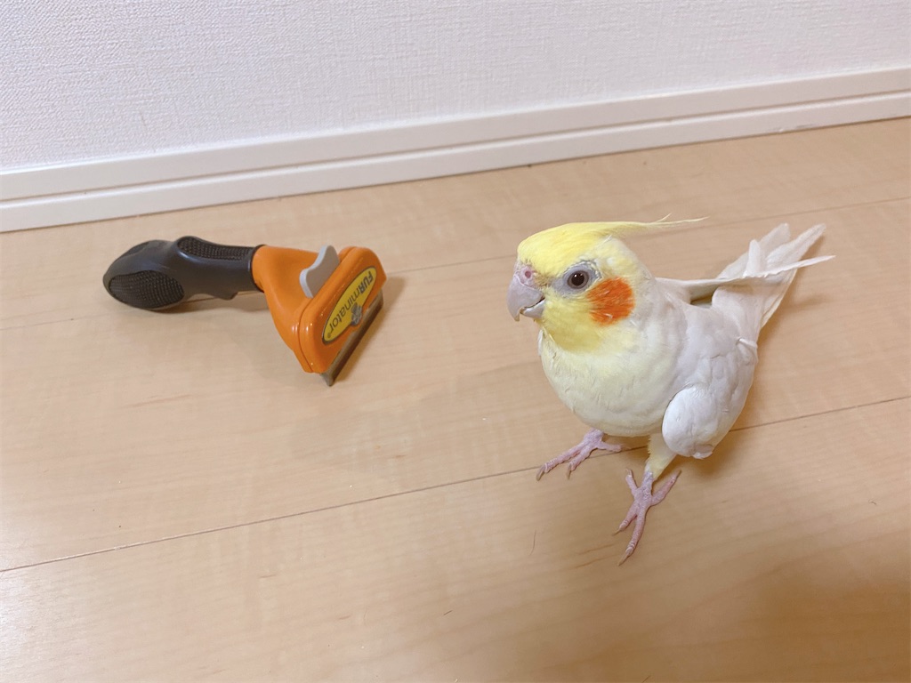 f:id:nanamizaki:20210326030921j:image f:id:nanamizaki:20210326030921j:image