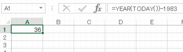 Excel 年齢を表示