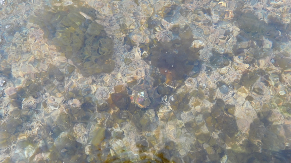 f:id:nanana2993:20190517064007j:plain f:id:nanana2993:20190517064007j:plain