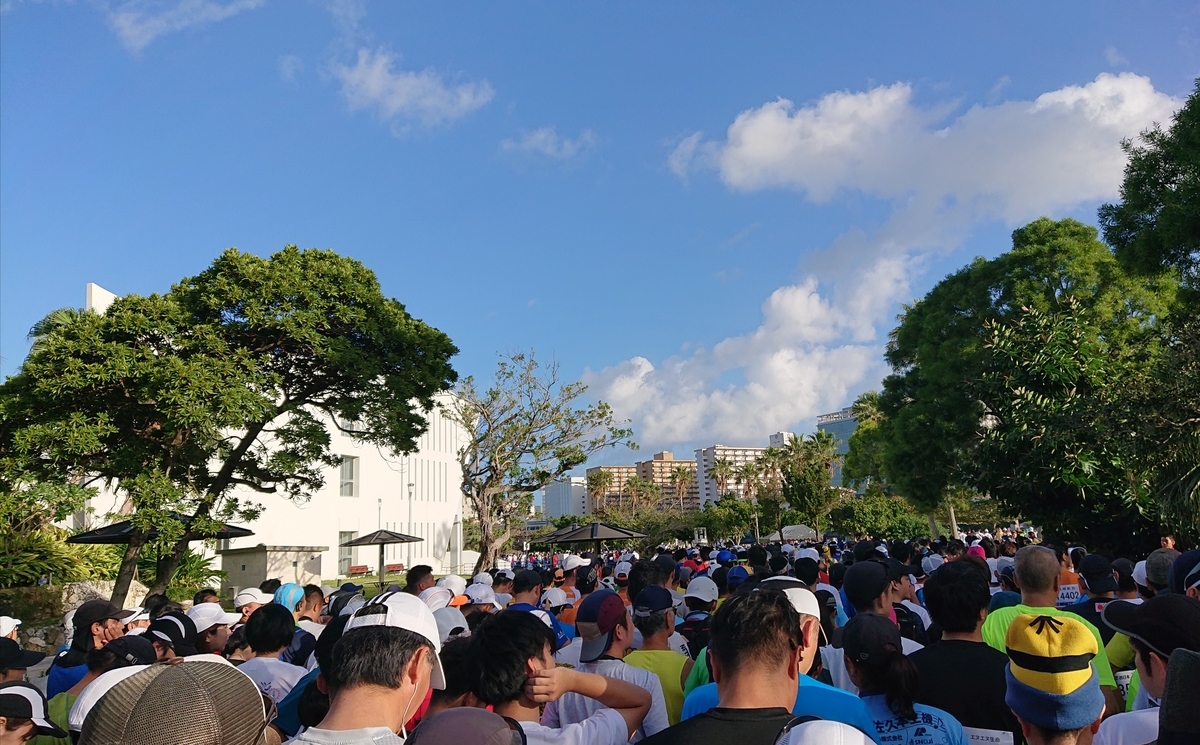 f:id:nanana831:20191231072846j:plain f:id:nanana831:20191231072846j:plain