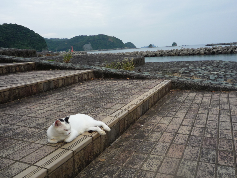 f:id:nananatsuko:20111014003150j:image:w360
