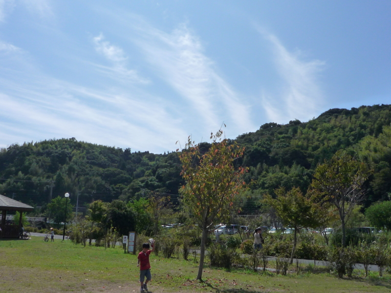 f:id:nananatsuko:20111014015435j:image:w360