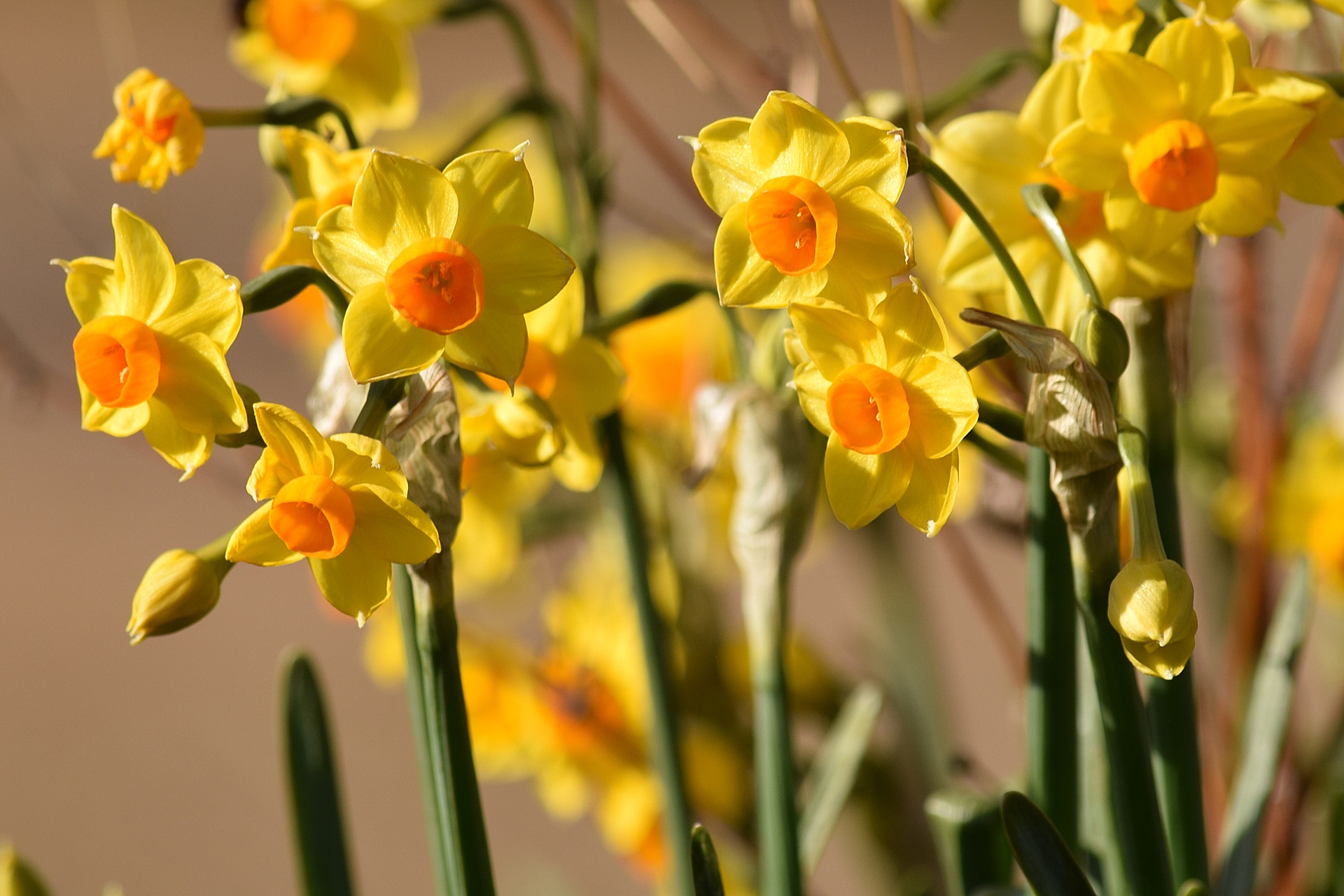 俯かないで 七音日記 俯かないで 七音日記