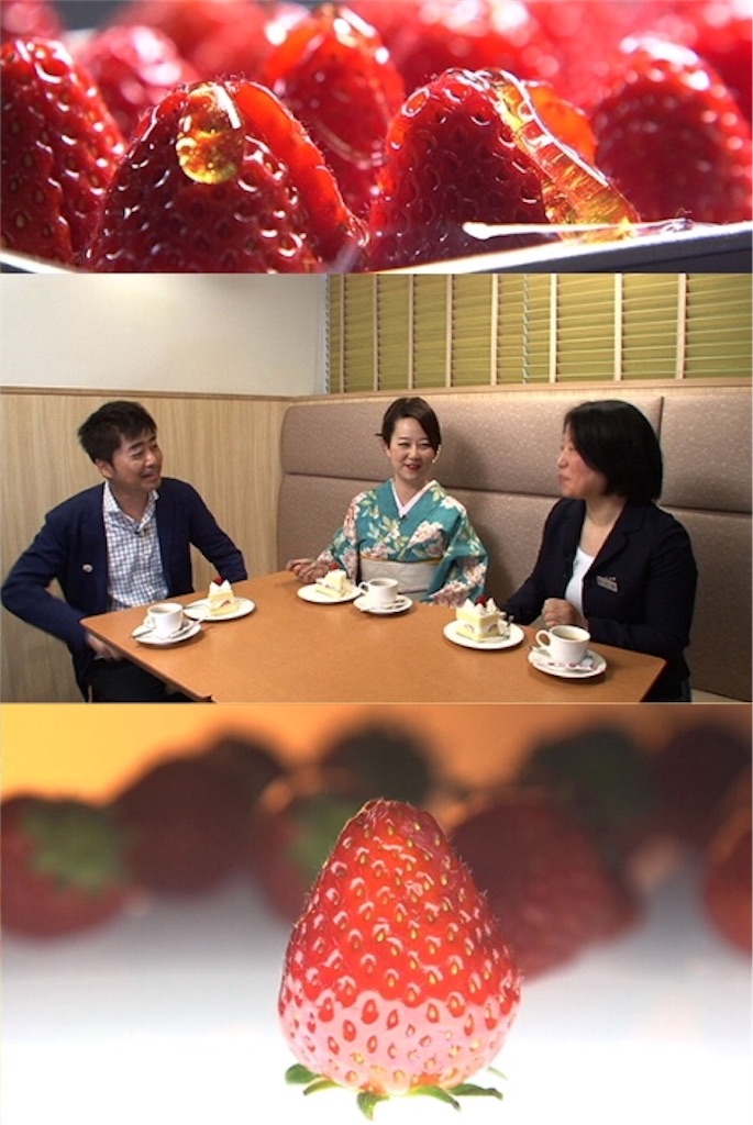 f:id:nanasato83:20181230155934j:image