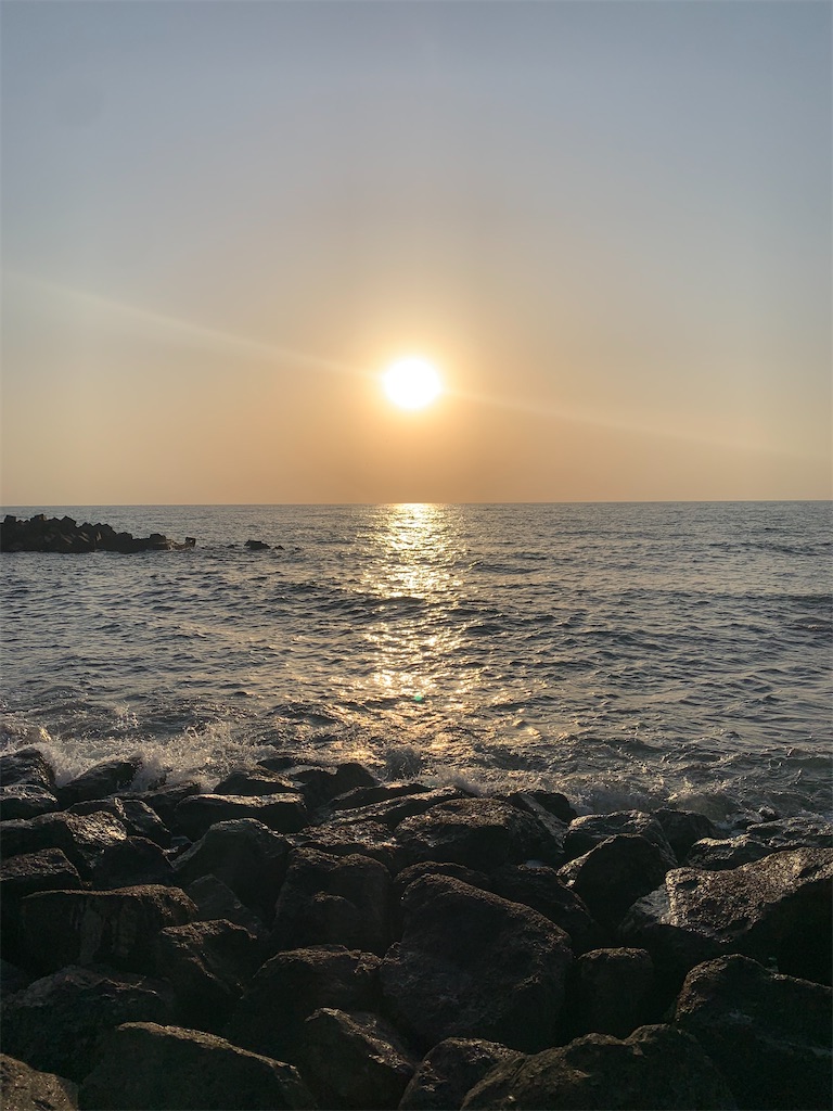 f:id:nanasaya2562:20220413210915j:image