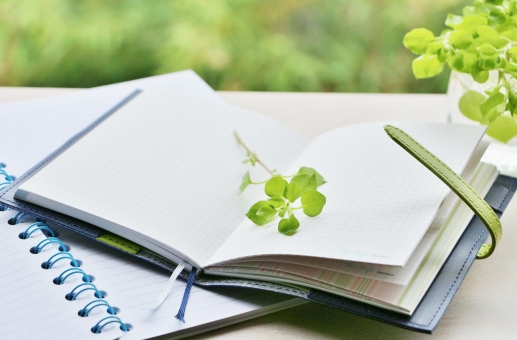 f:id:nanase1500:20200513205222j:plain f:id:nanase1500:20200513205222j:plain