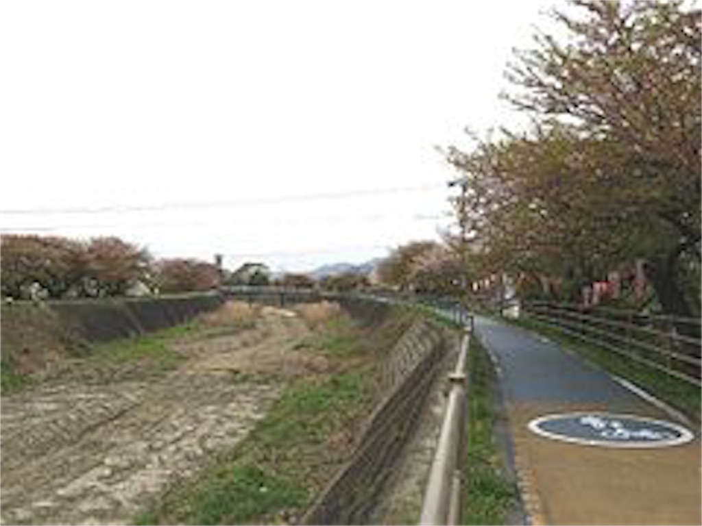 f:id:nanase_nitijo:20190411015954j:image f:id:nanase_nitijo:20190411015954j:image