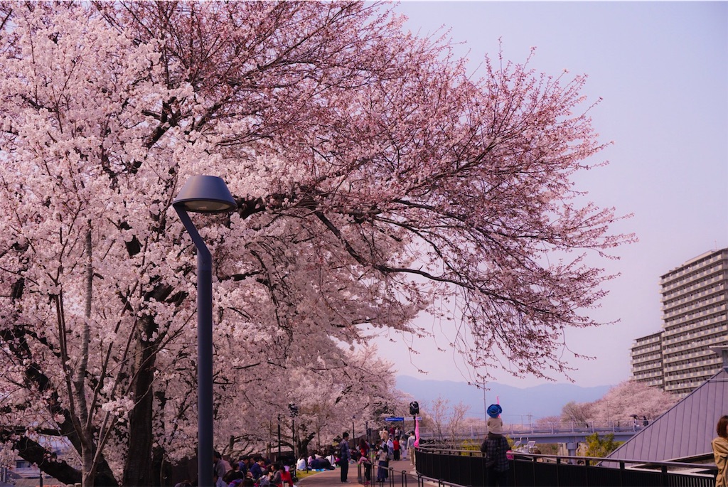 f:id:nanase_nitijo:20190411080147j:image f:id:nanase_nitijo:20190411080147j:image