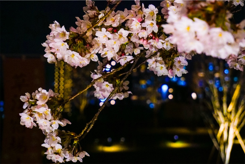 f:id:nanase_nitijo:20190411082129j:image f:id:nanase_nitijo:20190411082129j:image