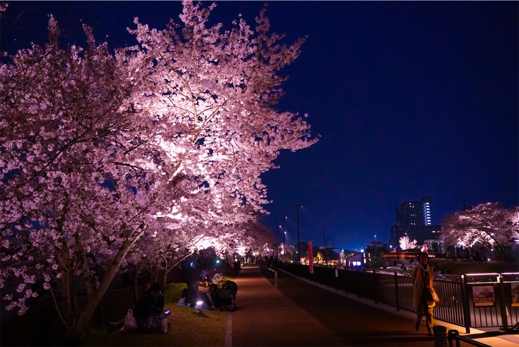 f:id:nanase_nitijo:20190411082147j:image f:id:nanase_nitijo:20190411082147j:image