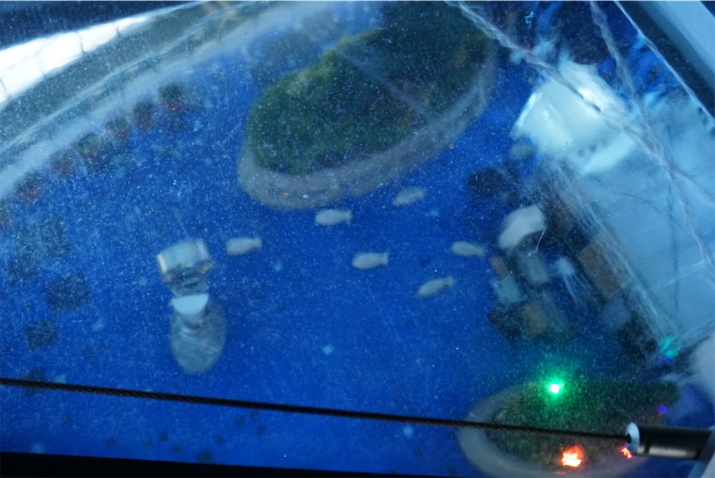 f:id:nanase_nitijo:20200211223038j:image f:id:nanase_nitijo:20200211223038j:image